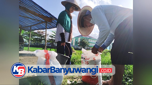 https://kabarbanyuwangi.co.id/asset/foto_berita/Petani_memupuk.jpg