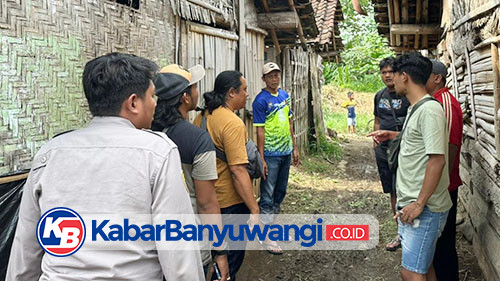 Satreskrim Polresta Banyuwangi Ungkap Kasus Pencurian Sapi Limosin di Glenmore