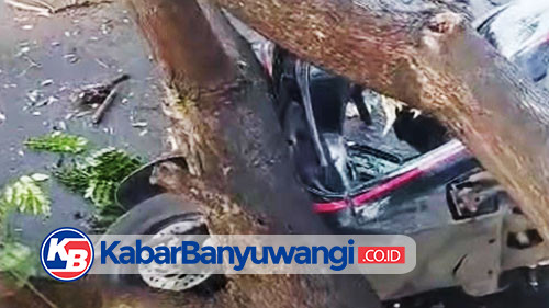 https://kabarbanyuwangi.co.id/asset/foto_berita/Pohon_tumbang_timpa_motor.jpg