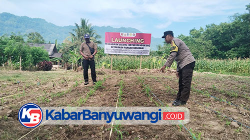 https://kabarbanyuwangi.co.id/asset/foto_berita/Polisi_dampingi_petani.jpg