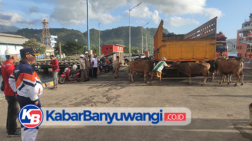 Polresta Banyuwangi Dirikan Posko Antisipasi PMK di Pelabuhan Tanjungwangi