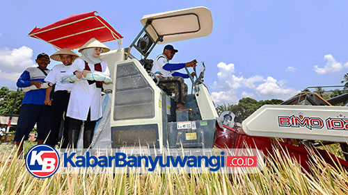 Program Ketahanan Pangan Presiden Prabowo Dirasakan Petani dan Dongkrak Produksi Pertanian Banyuwangi 
