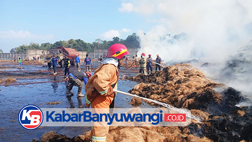 Pabrik Sabut Kelapa di Argopuro Banyuwangi Terbakar Gegara Overheat, Kerugian Capai Rp350 Juta