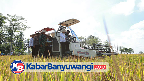 https://kabarbanyuwangi.co.id/asset/foto_berita/Pupuk_Kaltim.jpg