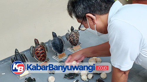 Kreatif, BSTF Produksi Miniatur Empat Jenis Penyu Untuk Sarana Edukasi