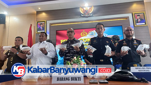 Lanal Banyuwangi Gagalkan Penyeludupan 9.244 Ekor Benih Lobster Jenis Pasir