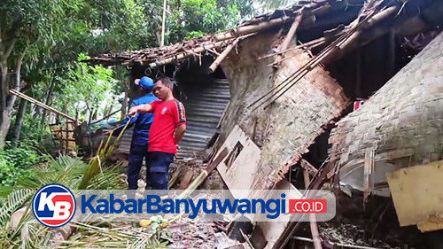 Rumah Warga Banyuwangi Rusak Berat Akibat Tertimpa Pohon Kelapa Tumbang