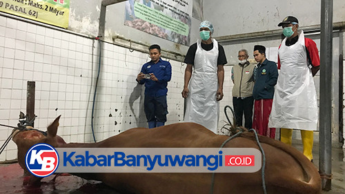 Seluruh Rumah Potong Hewan di Banyuwangi Telah Tersertifikasi Halal