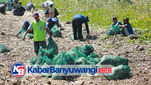 Pemkab dan Sungai Watch Gelar Aksi Big Clean Up di Pantai Muncar, Banyuwangi