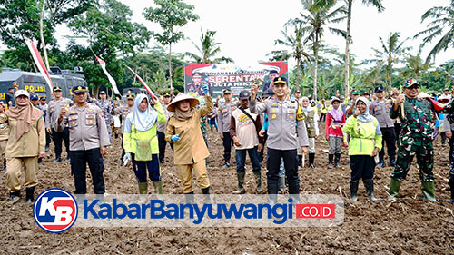 Dukung Program Nasional Penanaman 1 Juta Hektar Jagung, Banyuwangi Siapkan 650 Hektar Lahan