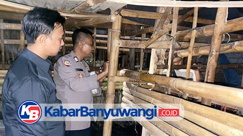 Diduga Gegara Asmara, Pemuda di Banyuwangi Ditemukan Tewas Gantung Diri di Kandang Kambing