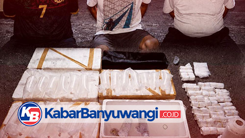 Penyelundupan Puluhan Ribu Benih Lobster Berhasil Digagalkan Polisi Banyuwangi