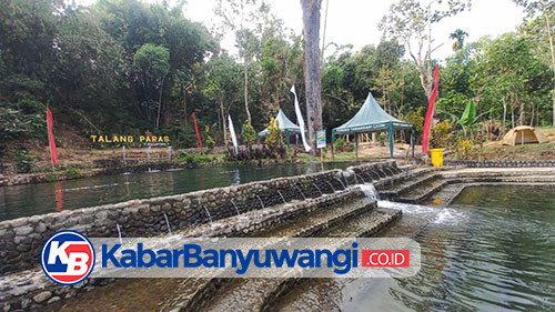 https://kabarbanyuwangi.co.id/asset/foto_berita/Talang_Paras_1.jpg