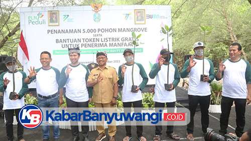 Sebanyak 5000 Pohon Mangrove Ditanam di Pesisir Teluk Pangpang Banyuwangi