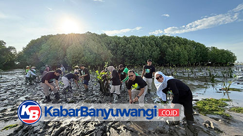 Dukung Keberlanjutan Ekosistem Pesisir, Bandara Banyuwangi Tanam 1.000 Bibit Mangrove di Teluk Pangpang