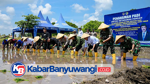 Lapas Banyuwangi Tanam Padi di SAE Pakis, Dukung Program Ketahanan Pangan Nasional