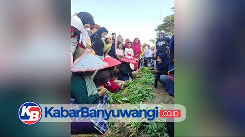 https://kabarbanyuwangi.co.id/asset/foto_berita/Unting_kangkung.jpg