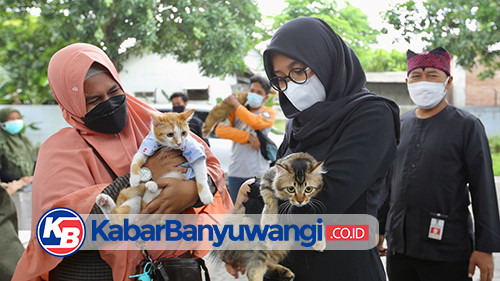 Banyuwangi Vaksinasi Rabies Gratis 2.300 Hewan Liar dan Peliharaan