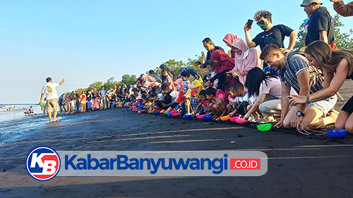 BSTF Kembali Buktikan Penetasan Tukik Tanpa Pasir, Puluhan Ekor Tukik Dilepaskan