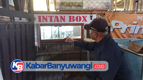 Intan dan Yosi Box, Inovasi Penetasan Tanpa Pasir Mampu Menstabilkan Populasi Penyu