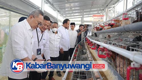 https://kabarbanyuwangi.co.id/asset/foto_berita/Zulhas_panen_telur.jpg