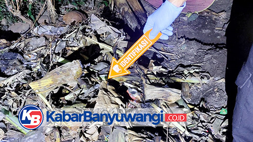 Ibu di Banyuwangi Kubur Bayinya yang Baru Dilahirkan di Belakang Rumah