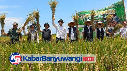 Bulog Tingkatan Kesejahteraan Petani di Banyuwangi via Program Mitra Tani