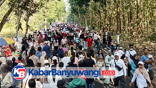 https://kabarbanyuwangi.co.id/asset/foto_berita/cfd_hutan_karetan.jpg