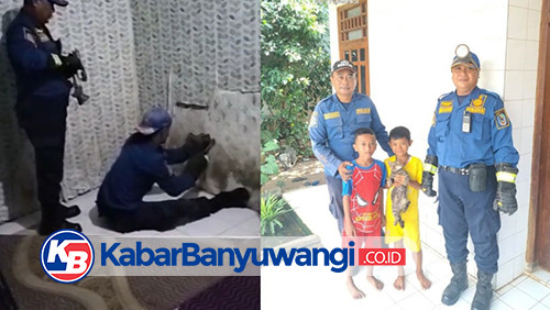 Aksi Heroik Damkarmat Banyuwangi Bongkar Dinding Demi Selamatkan Kucing Terjebak