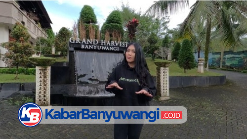 https://kabarbanyuwangi.co.id/asset/foto_berita/denada_banyuwangi.jpg