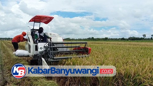 Dispertapa Sebut Program Agrosolution Bisa Dongkrak Produksi Pertanian