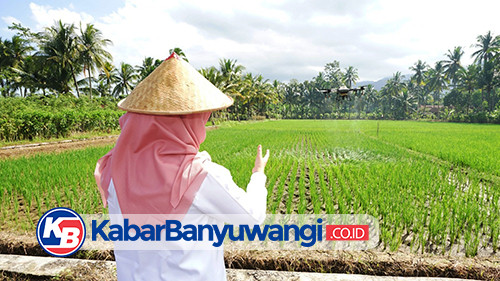 Dorong Smart Farming, Petani di Banyuwangi Dikenalkan Drone Penyemprot Pupuk Cair