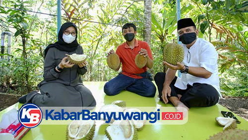Gandeng Startup "Kang Duren", Banyuwangi Perluas Pasar Durian Lokal