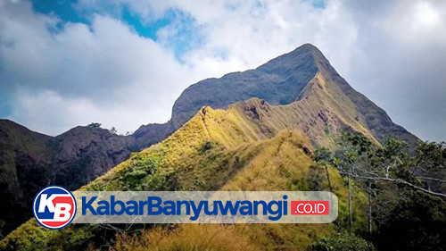 Dua Pendaki Hilang Kontak di Gunung Piramid Bondowoso, Tim SAR Gabungan Diturunkan