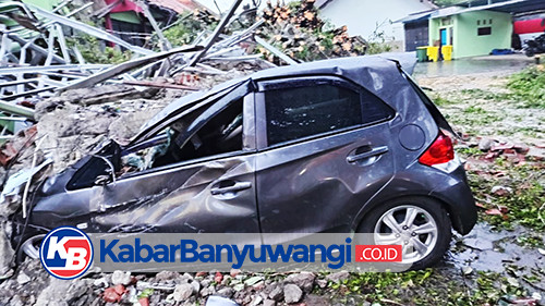 Pohon Beringin Tumbang Timpa Mobil Brio dan Fasilitas Sekolah di Srono Banyuwangi