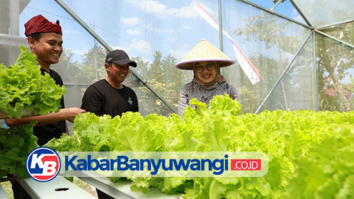 Ratusan Anak Muda Daftar Jadi Peserta Program Inkubasi Jagoan Banyuwangi 2025