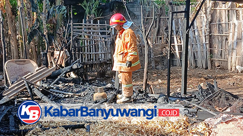 Kandang Ayam di Banyuwangi Terbakar Saat Ditinggal Pemiliknya Salat Usai Bakar Sampah