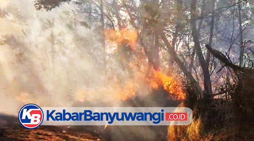 TWA Kawah Ijen Resmi Ditutup Imbas Kebakaran Meluas ke Jalur Pendakian