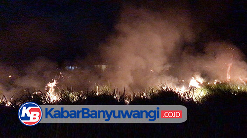 Kebakaran di Banyuwangi Terjadi Tiga Kali Sehari