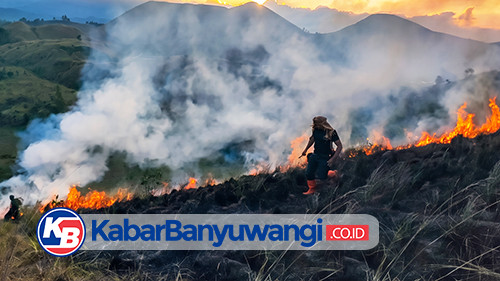 https://kabarbanyuwangi.co.id/asset/foto_berita/kebakaran_kawah_wurung.jpg