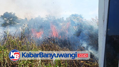 Pembakaran Sampah Lagi-lagi Jadi Pemicu Kebakaran Lahan Kosong di Banyuwangi