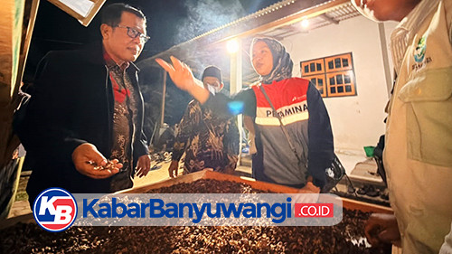 Dukung Potensi Kopi Kalipuro Banyuwangi, Patra Logistik dan UB Edukasi Petani soal Pasca Panen