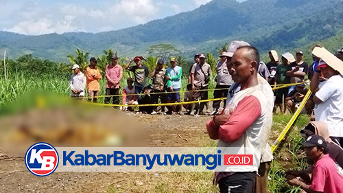 Dua Buruh Ditemukan Tergeletak di Kawasan Perkebunan, Satu Tewas Lainnya Luka Parah