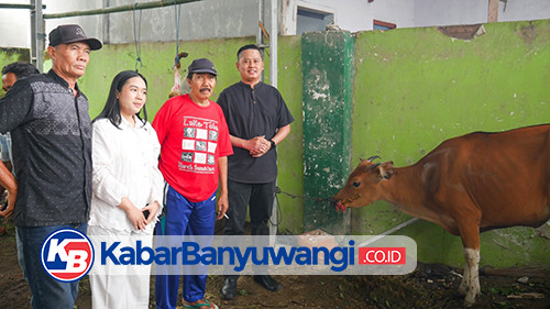 Tebar Kepedulian Idul Adha, eL Hotel Banyuwangi Salurkan Sapi Kurban ke Warga