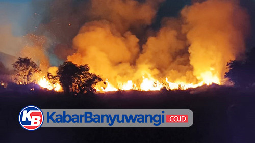 Dua Insiden Saling Susul, Rumah Kosong dan Lahan di Banyuwangi Kota Diamuk Si Jago Merah