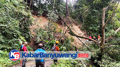 Longsor Putus Akses Jalan Warga Sukamade