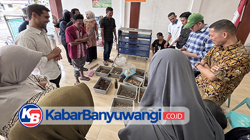 https://kabarbanyuwangi.co.id/asset/foto_berita/magot_poliwangi.jpg
