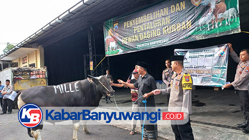 Hari Raya Idul Adha Polresta Banyuwangi Bagikan Puluhan Hewan Kurban