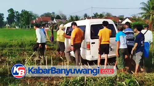 Minibus Terperosok ke Tengah Sawah di Banyuwangi, Sopir dan Penumpang Selamat