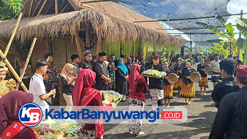 Menguak Tradisi "Ngrujaki", Ritual Tingkeban Padi yang Masih Lestari di Banyuwangi